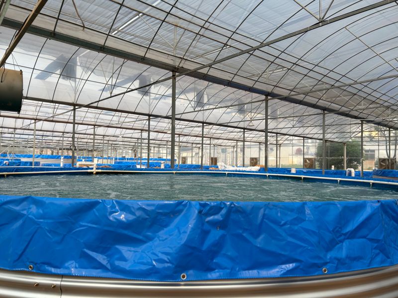 RAETTS Explorer air Blower Boosts Aquaculture (6)