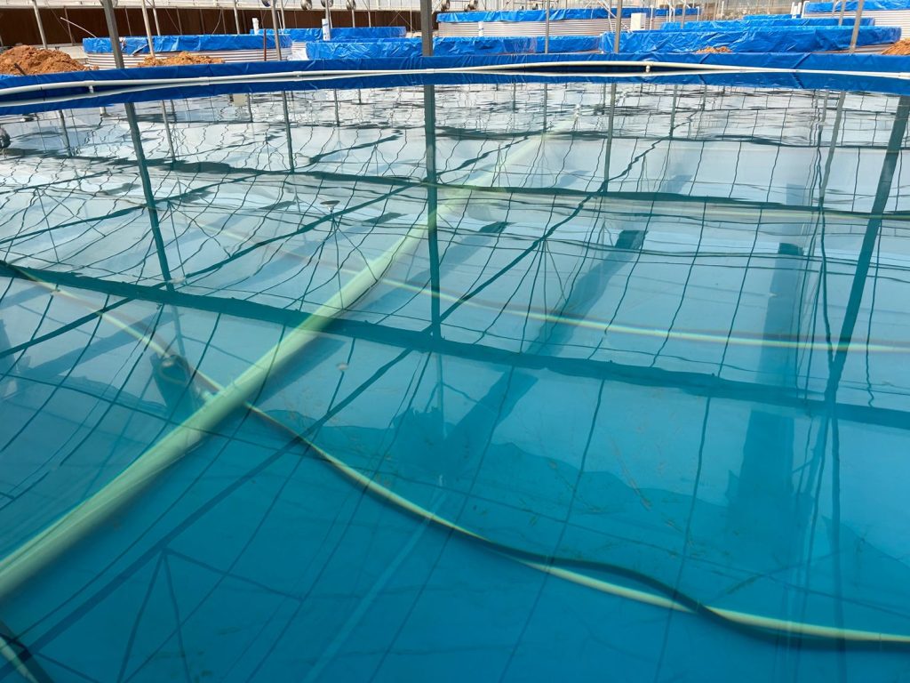 RAETTS Explorer air Blower Boosts Aquaculture 