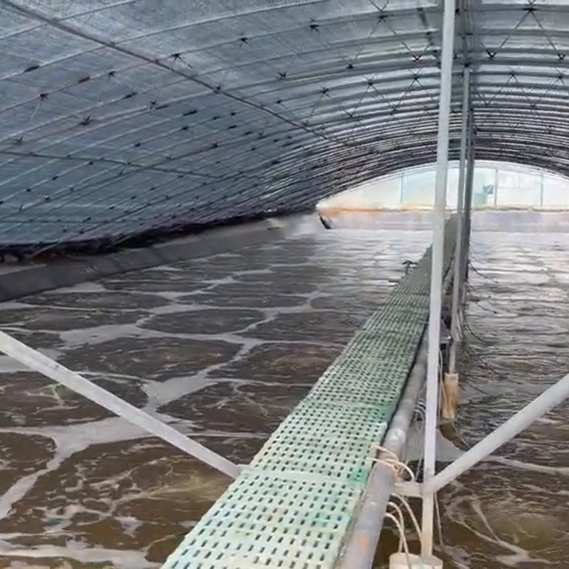 RAETTS Maglev Turbo Blower for Aquaculture