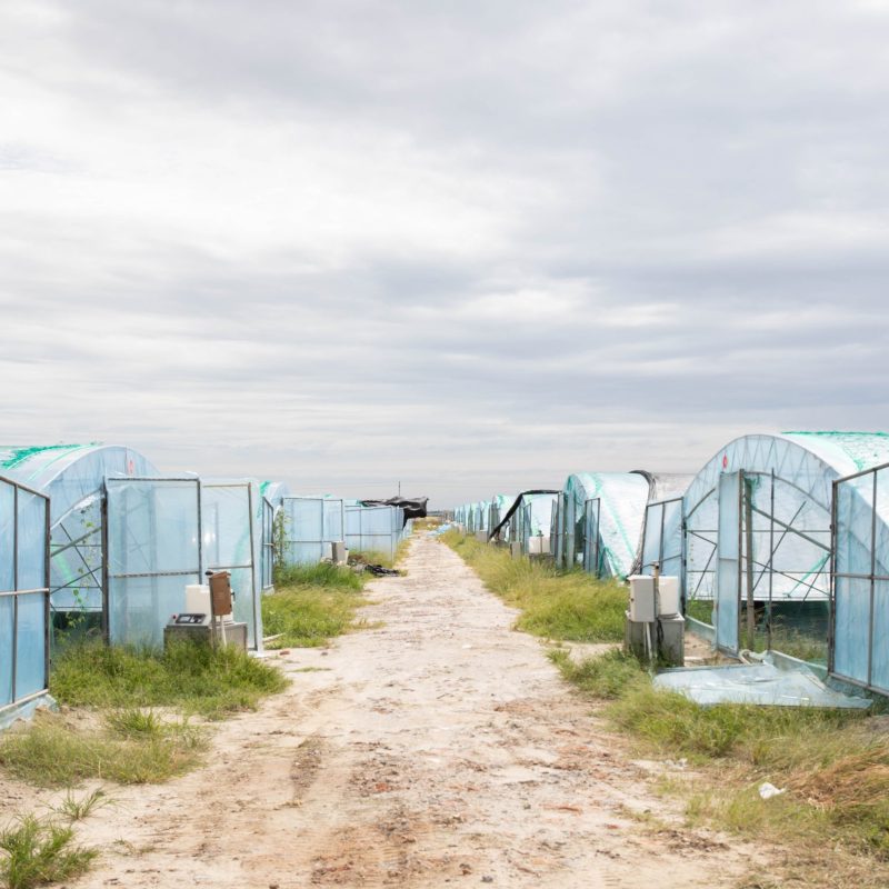 RAETTS Maglev Turbo Blower for Aquaculture